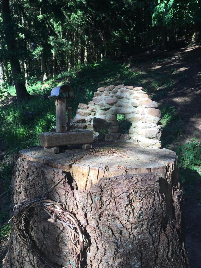 Waldnest Odenwald Ξενοδοχείο Εξωτερικό φωτογραφία