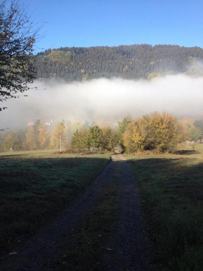 Waldnest Odenwald Ξενοδοχείο Εξωτερικό φωτογραφία