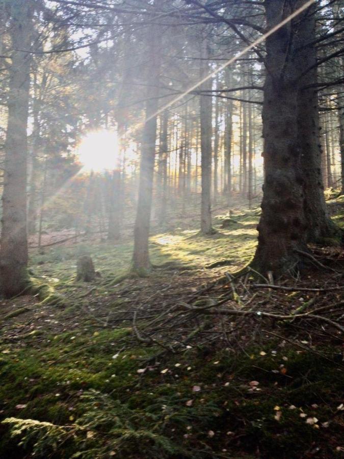 Waldnest Odenwald Ξενοδοχείο Εξωτερικό φωτογραφία