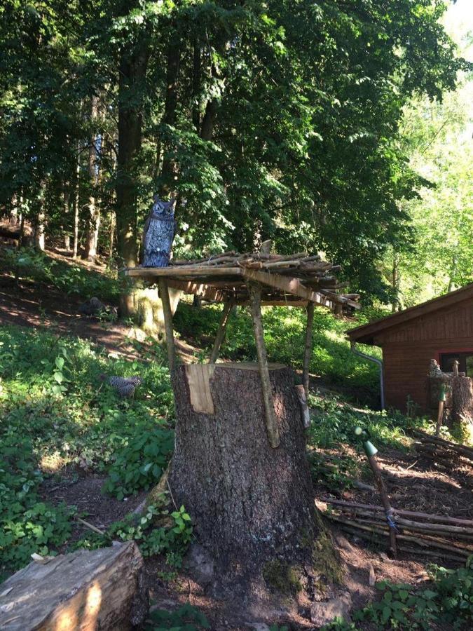 Waldnest Odenwald Ξενοδοχείο Εξωτερικό φωτογραφία
