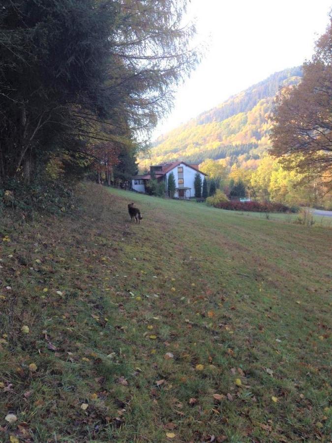 Waldnest Odenwald Ξενοδοχείο Εξωτερικό φωτογραφία