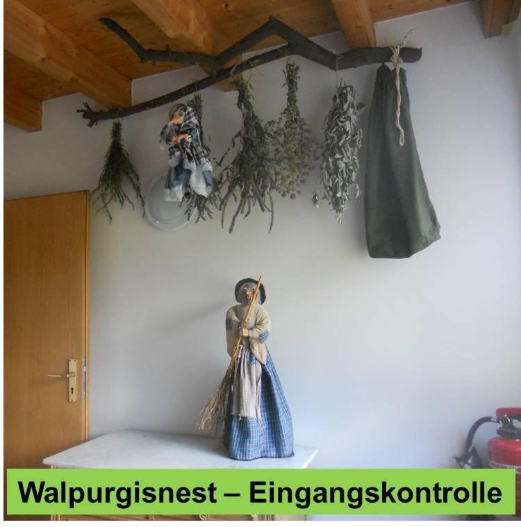 Waldnest Odenwald Ξενοδοχείο Εξωτερικό φωτογραφία